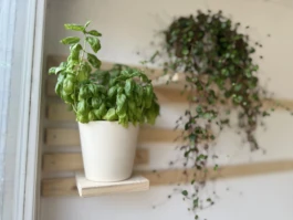 Tischlerei Hauswerth